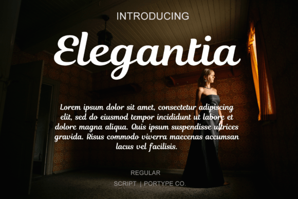 Elegantia Font Review: Elevating Campaign Visuals with Grace