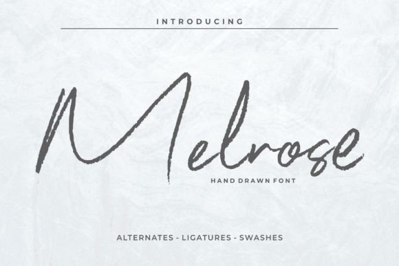 Melrose Font Review: A Bold Script for Small Business Branding